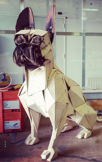Franse bulldog