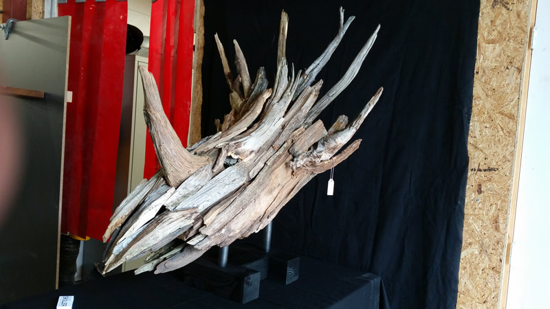 Styracosaurus