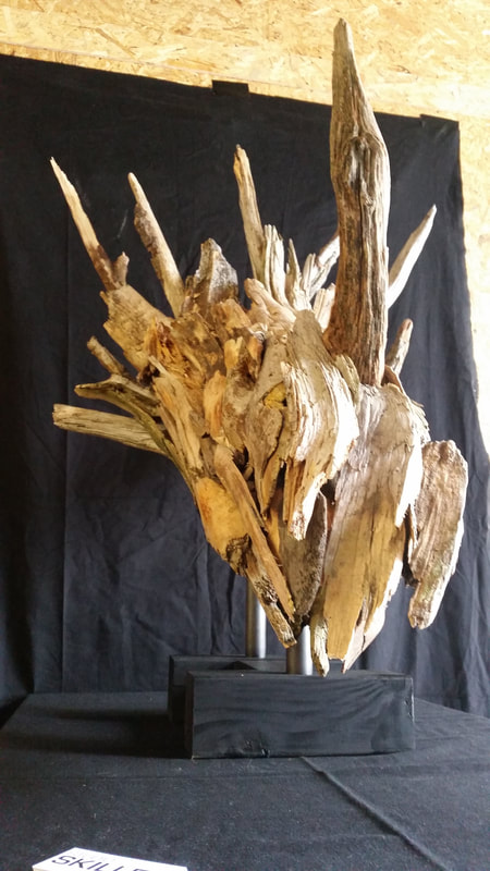 Styracosaurus